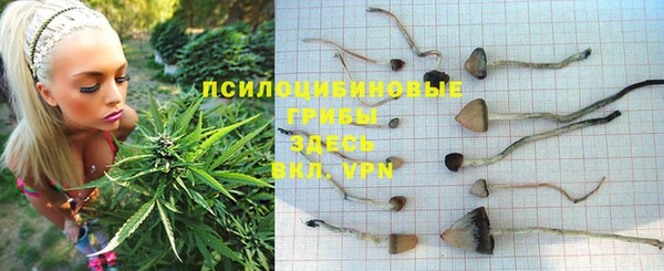 бошки Усолье-Сибирское