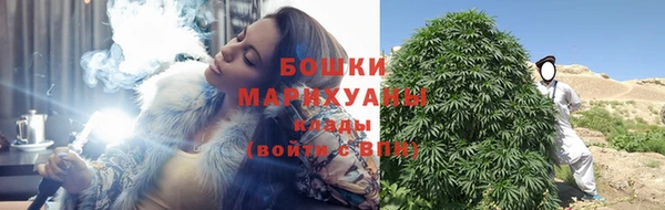 сатива Фурманов