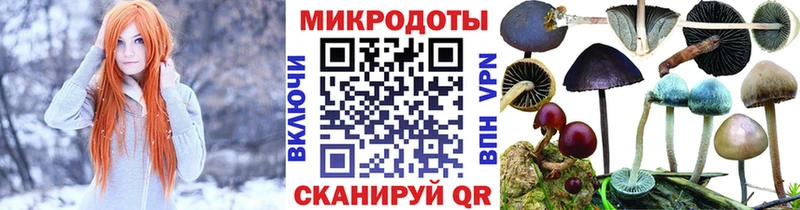 Купить  Усть-Кут  Псилоцибиновые грибы ЛСД 